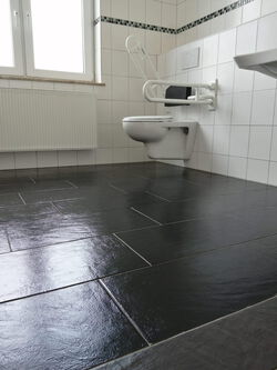 Wc Räume Reinigung Gießen Lahnau Wetzlar