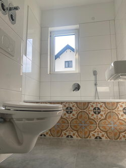 Privathaushalt Reinigungsfirma Gießen Lahnau Wetzlar