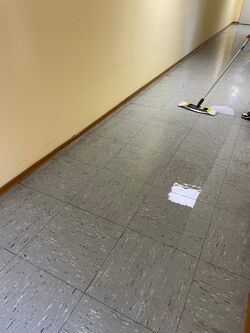 Treppenhausreinigung Wetzlar Lahnau Gießen